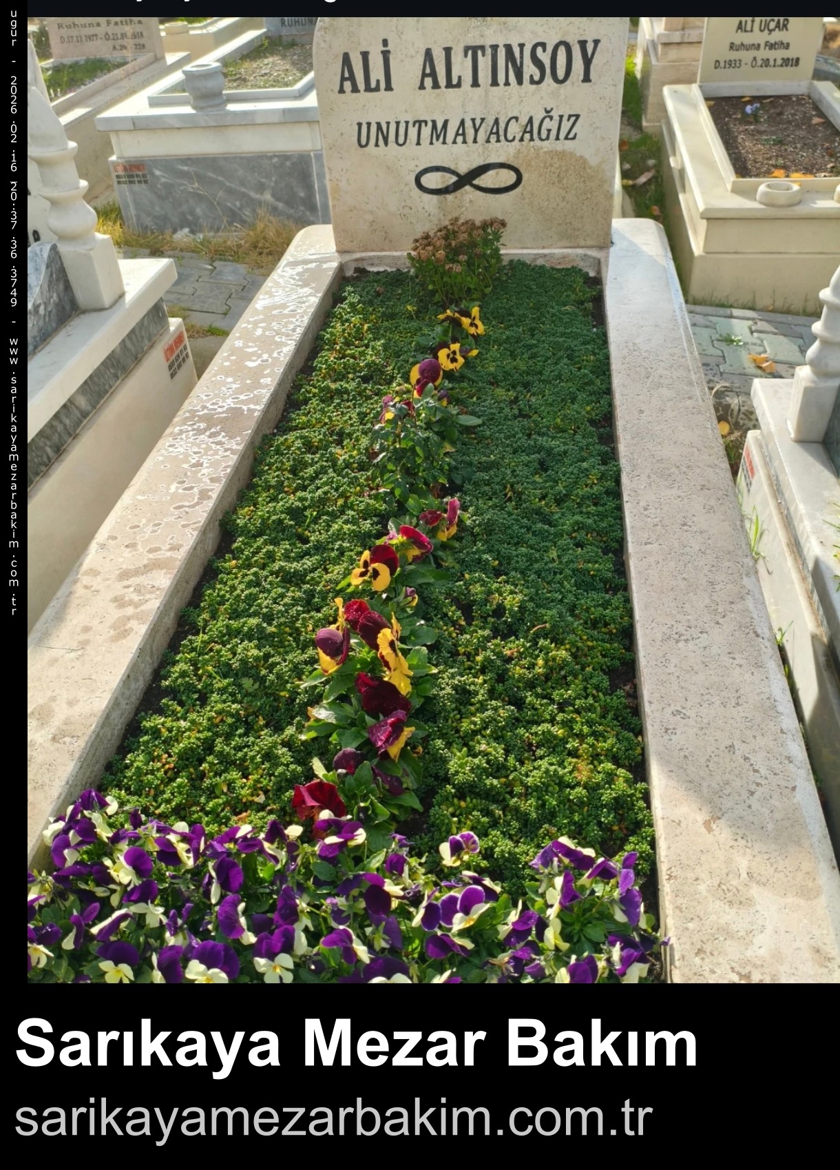 Tek Seferlik Çiçeklendirme - Sonra