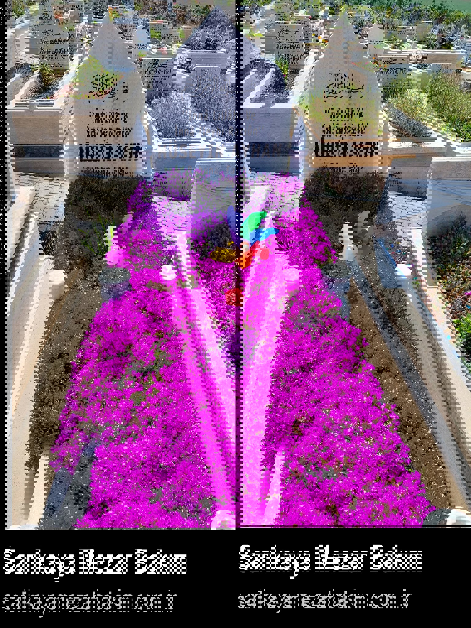 Premium Bakım Hizmeti