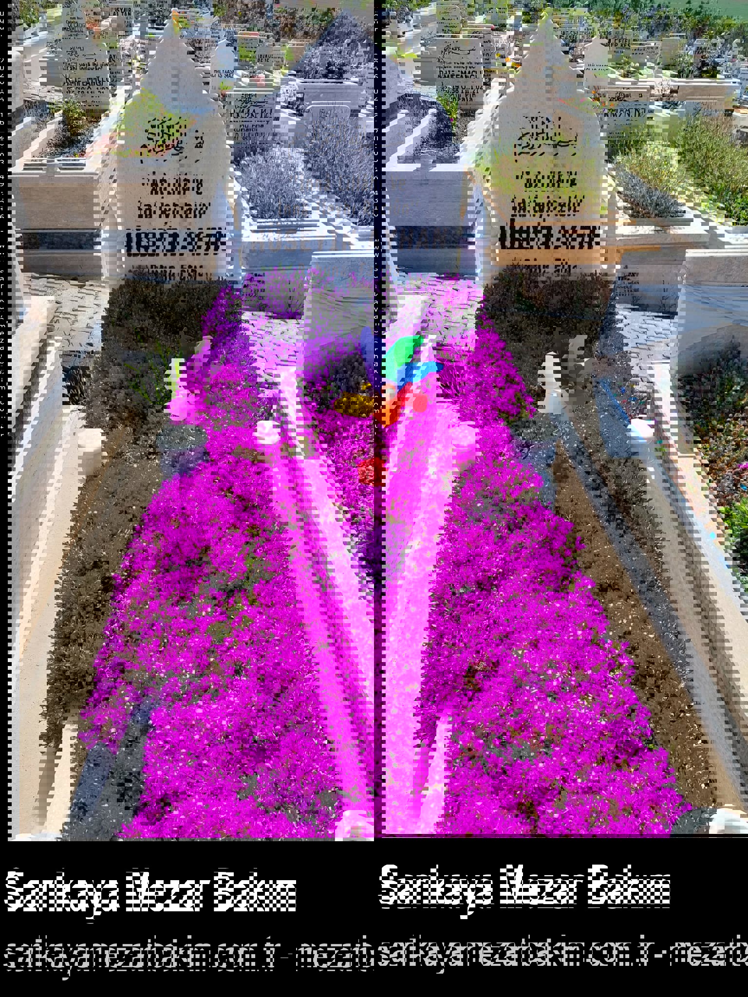 Premium Tek kişilik Paket